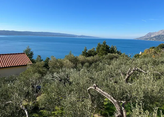 Apartmani Kika